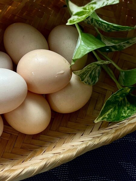 Trứng gà ta - 10 quả