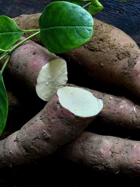 Khoai lang lệ cần