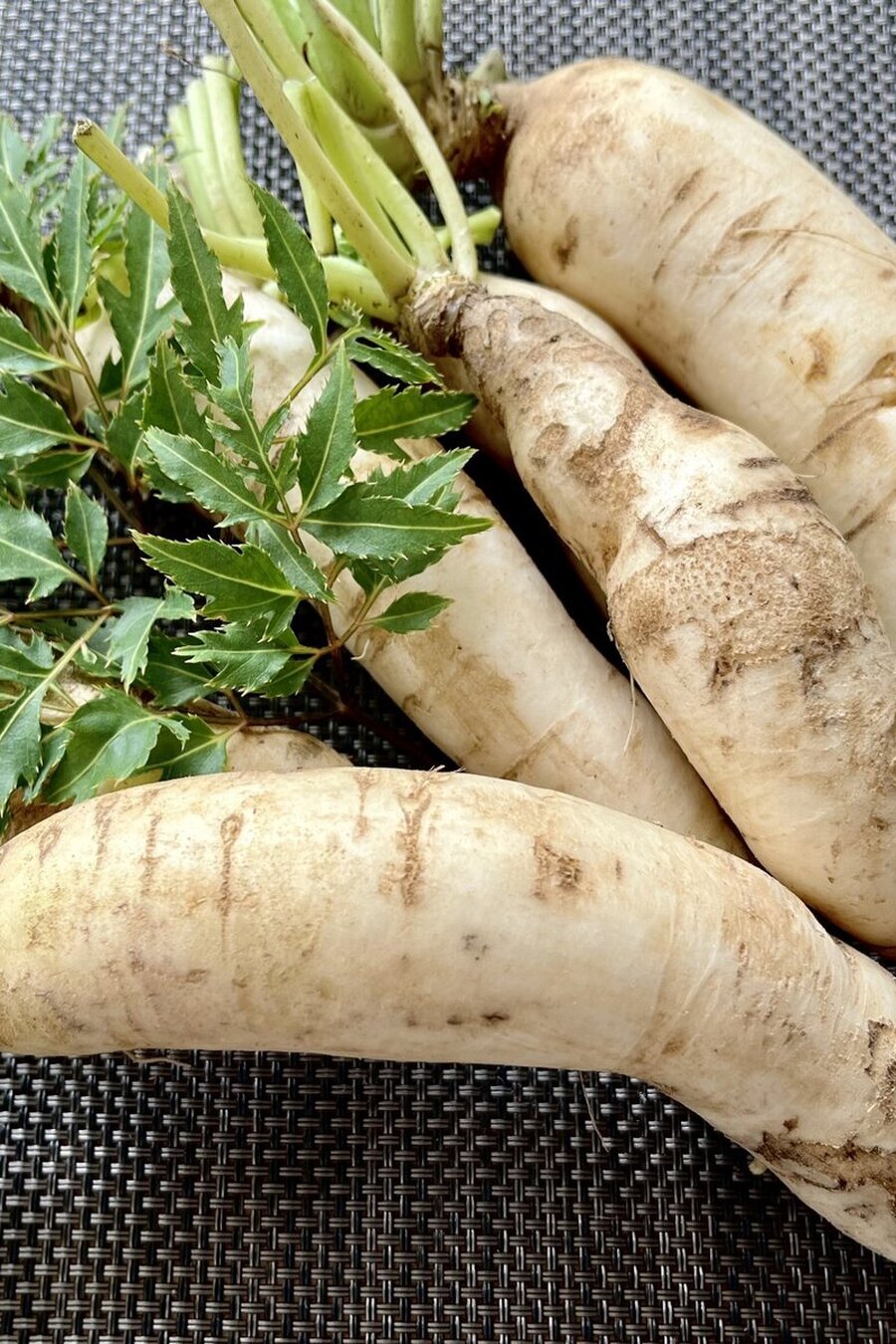 Củ Cải Trắng