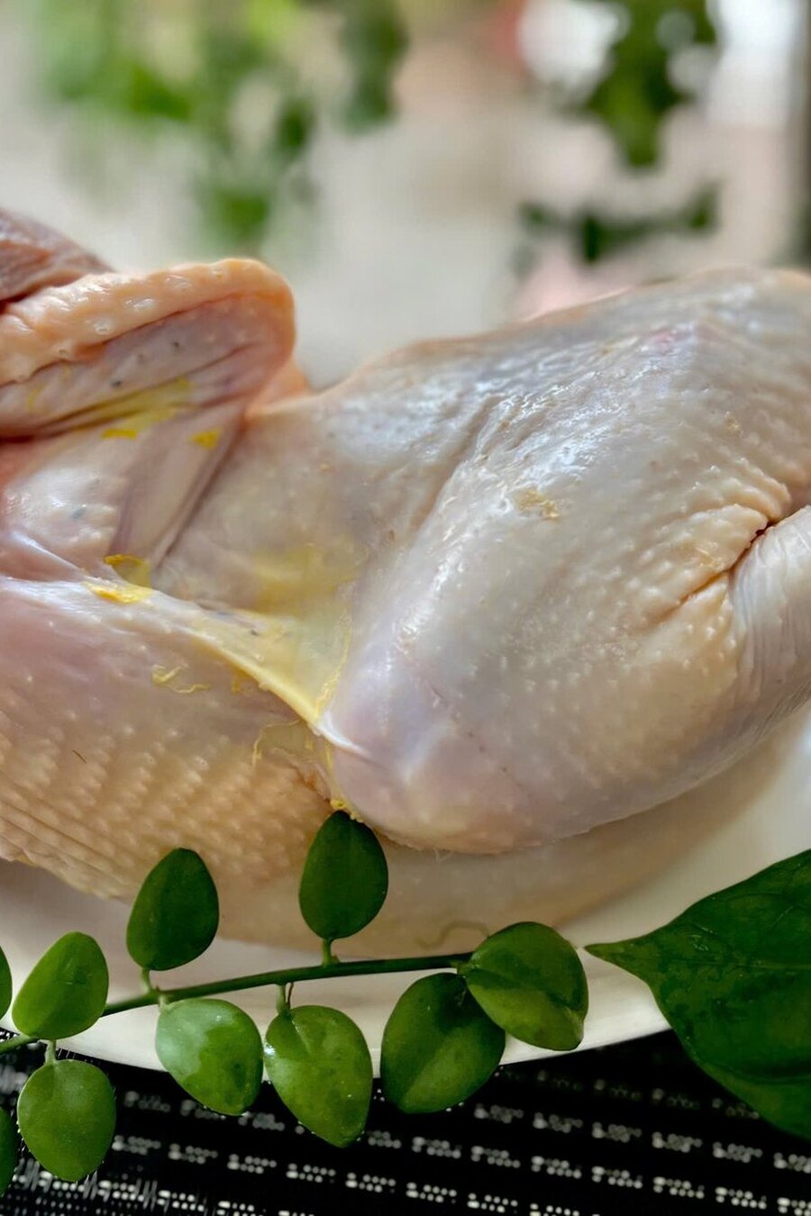 Gà Trống chéo cánh (đặt trước)