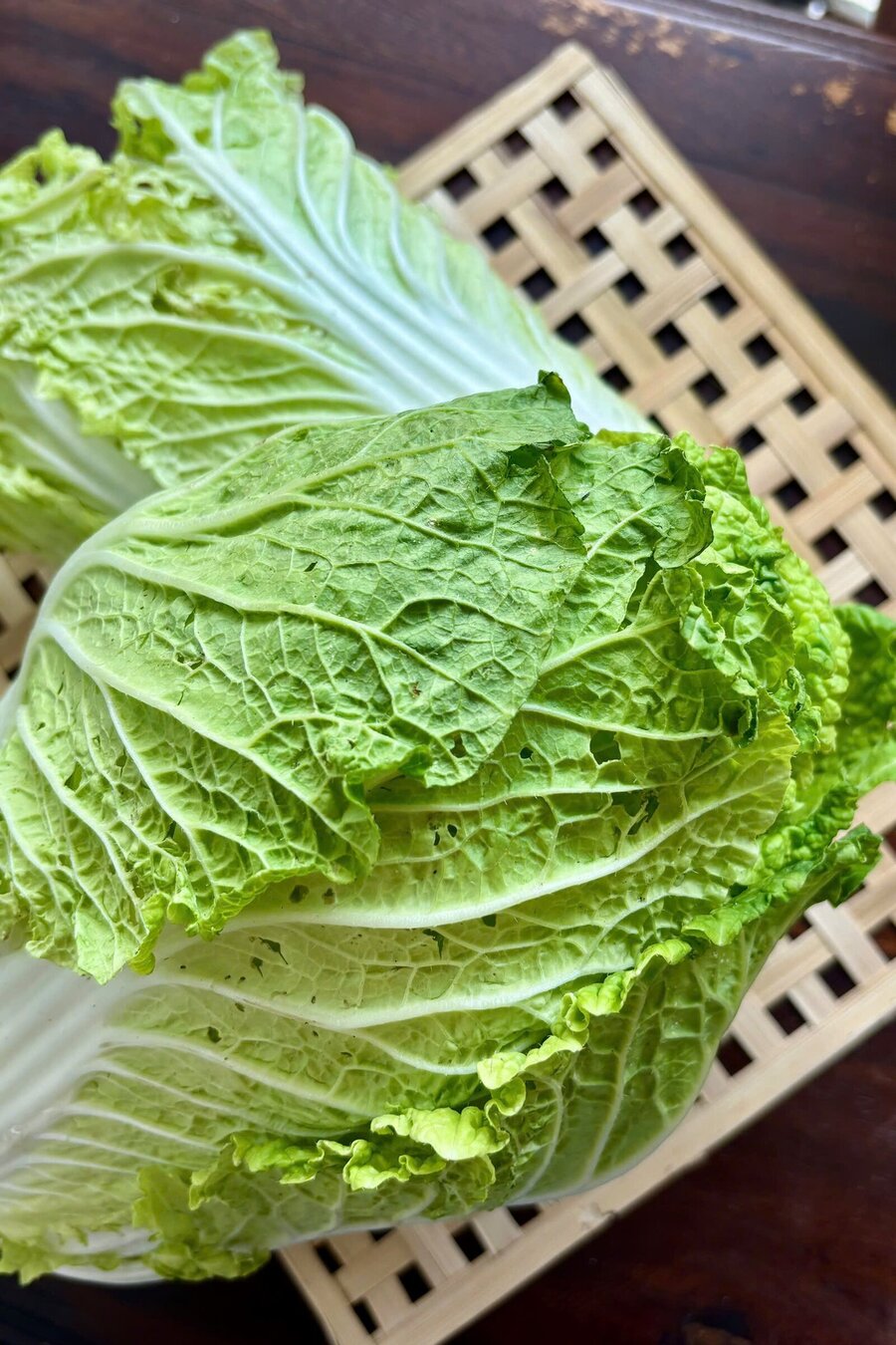 Cải thảo