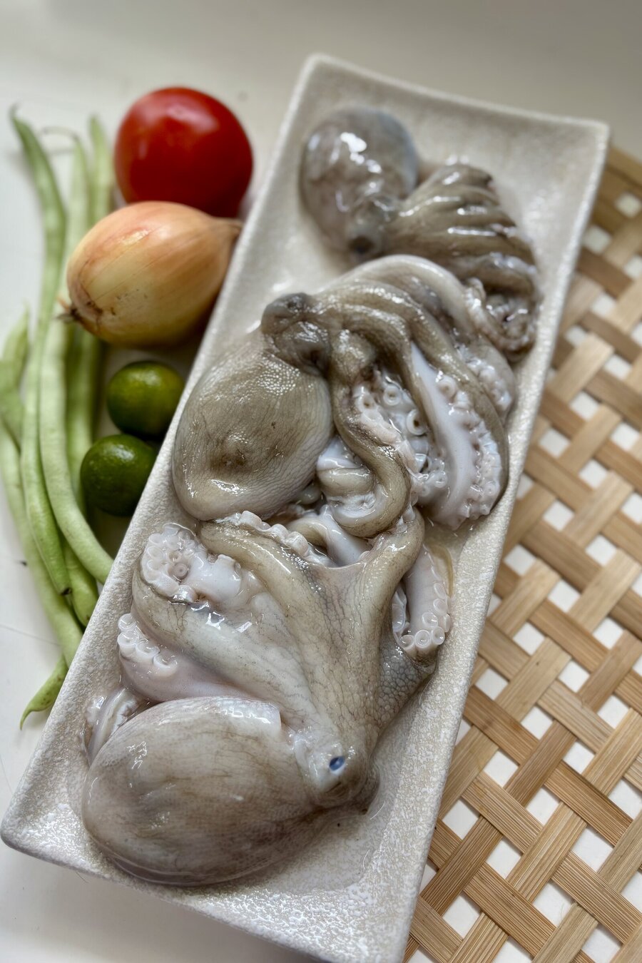 Bạch tuộc nhỏ